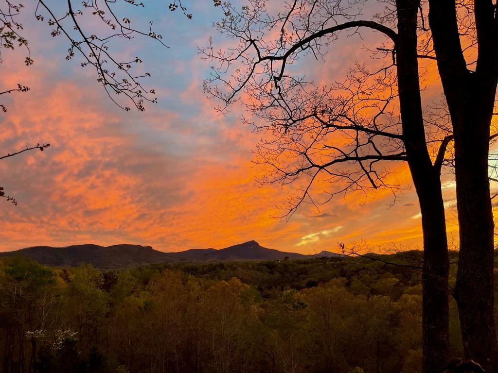 Updating NC’s marijuana laws