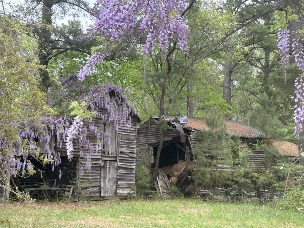 HUGE breaking news in North Carolina