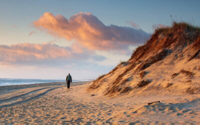 The 12 best beaches in North Carolina for every kind of beachgoer