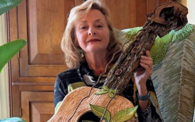 Western North Carolina artist conserves 62 acres near Green River Game Land