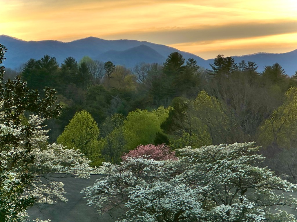 NC needs to act on marijuana