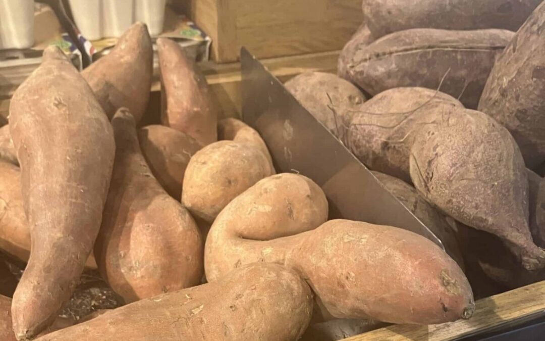 North Carolina is the nation’s top producer of these two things