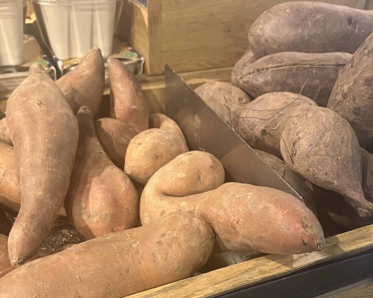 North Carolina is America’s largest producer of both sweet potatoes and tobacco, both of which have long histories in the state.