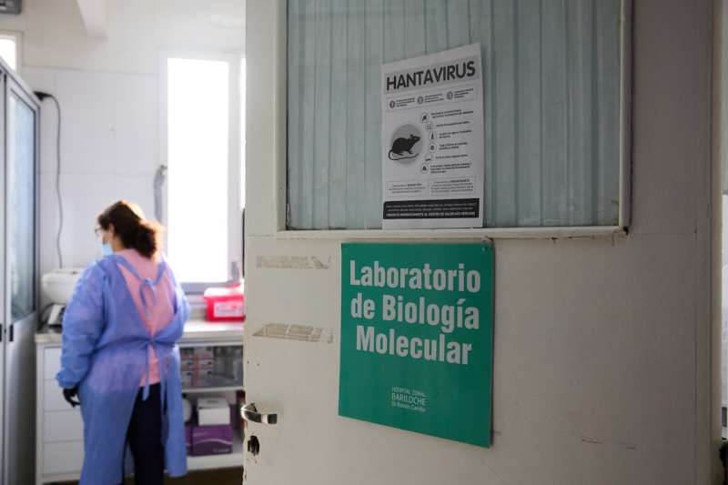 Hantavirus