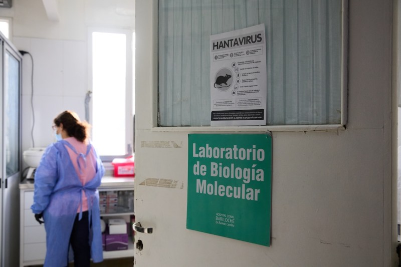Hantavirus