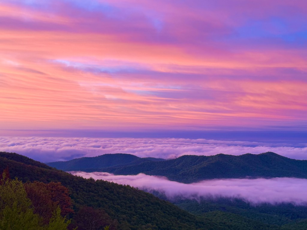 🤖 Could North Carolina limit data centers?