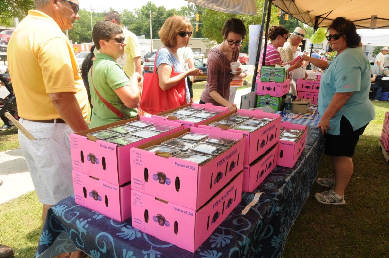 How the NC Blueberry Festival drives tourism and spending in Burgaw