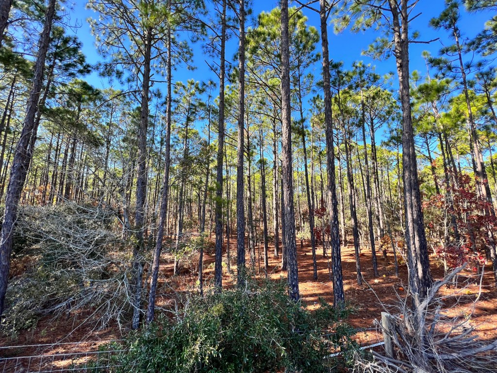 This massive development could change the NC beach town of Oak Island