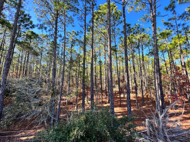 This massive development is going to change the NC beach town of Oak Island
