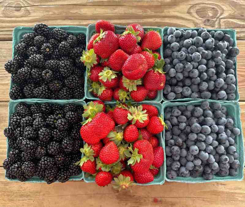 The “berry” best part about summer in NC is the abundance of sweet, juicy berries.