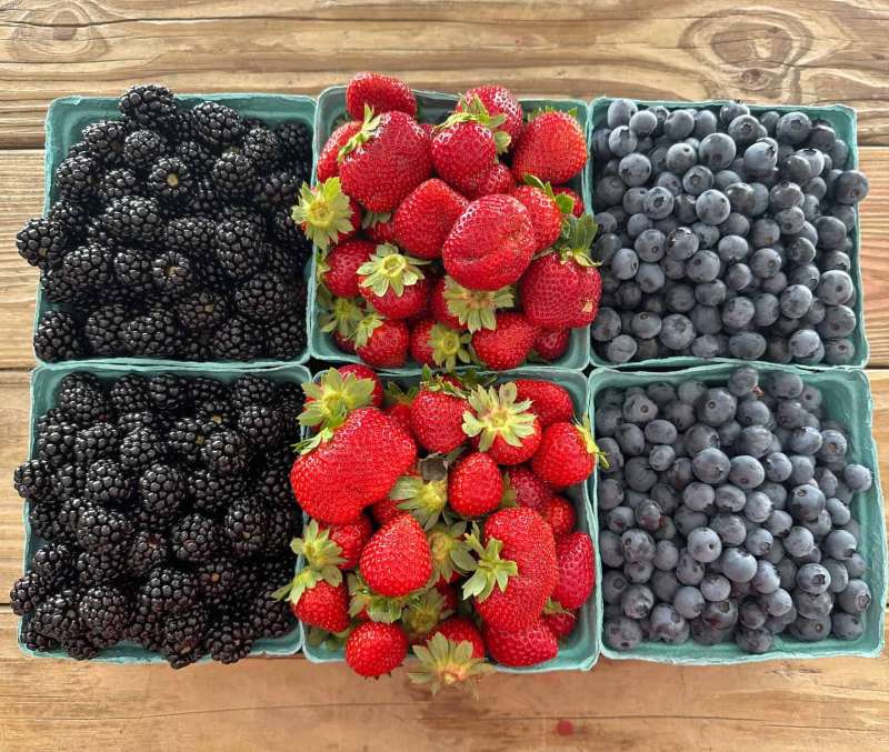 The “berry” best part about summer in NC is the abundance of sweet, juicy berries.