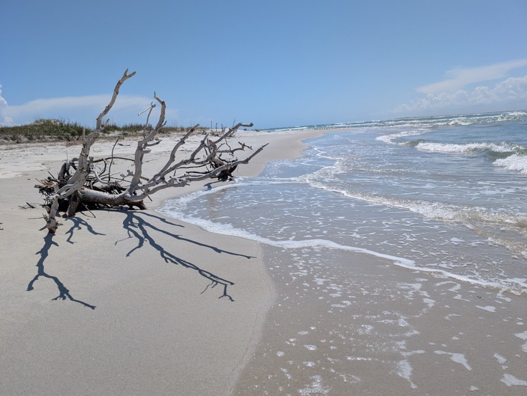 These NC beaches are among the South’s best, Southern Living readers say
