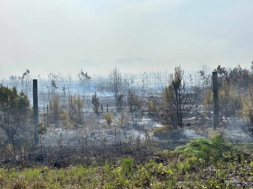 3 things happening in NC: Huge coastal wildfire threatens Brunswick County. Here’s what to know