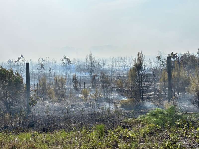 3 things happening in NC: Huge wildfire threatens coastal communities in Brunswick County
