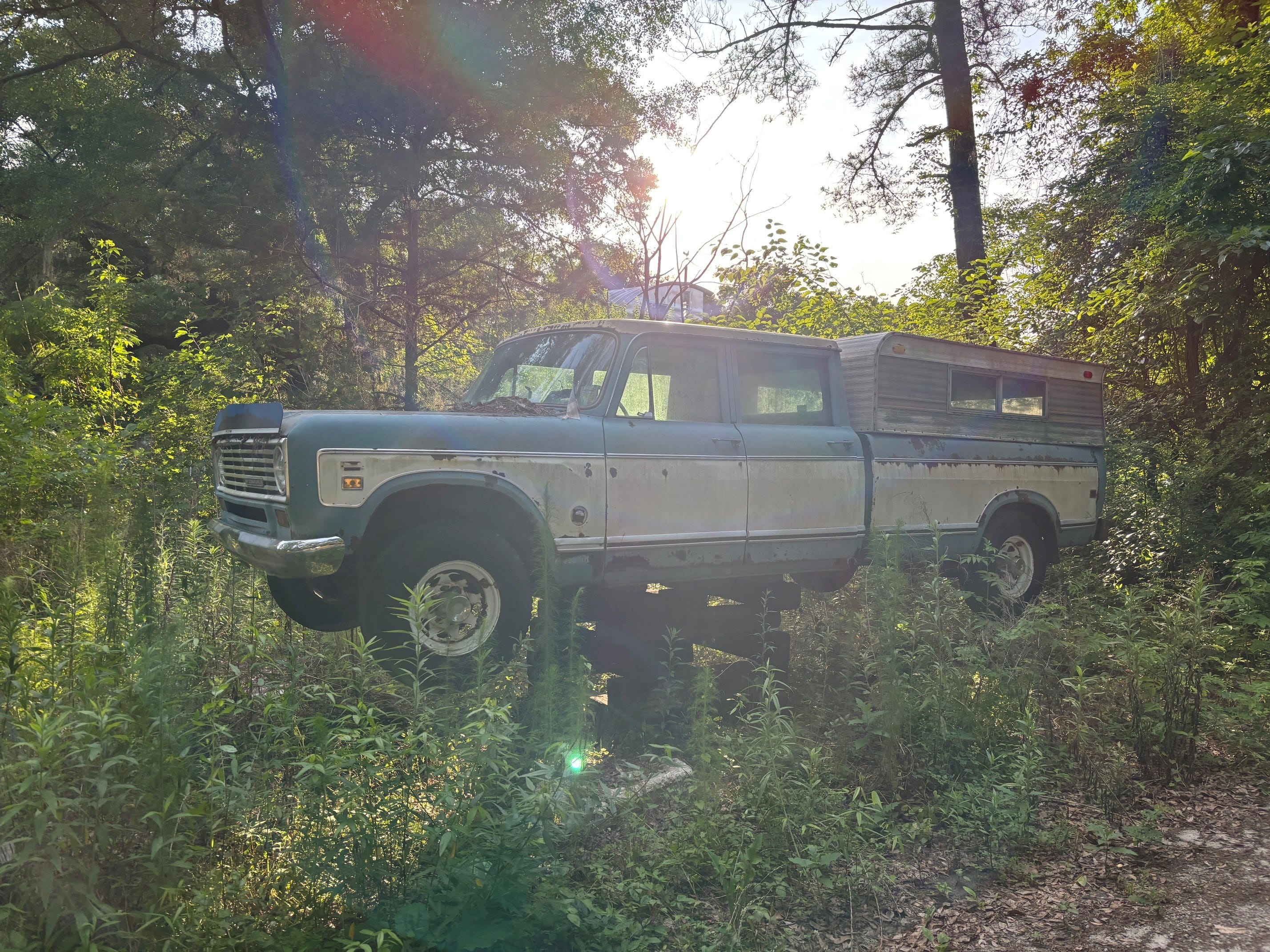 In the woods near Wilmington lies Walker World, a place where the party never ends