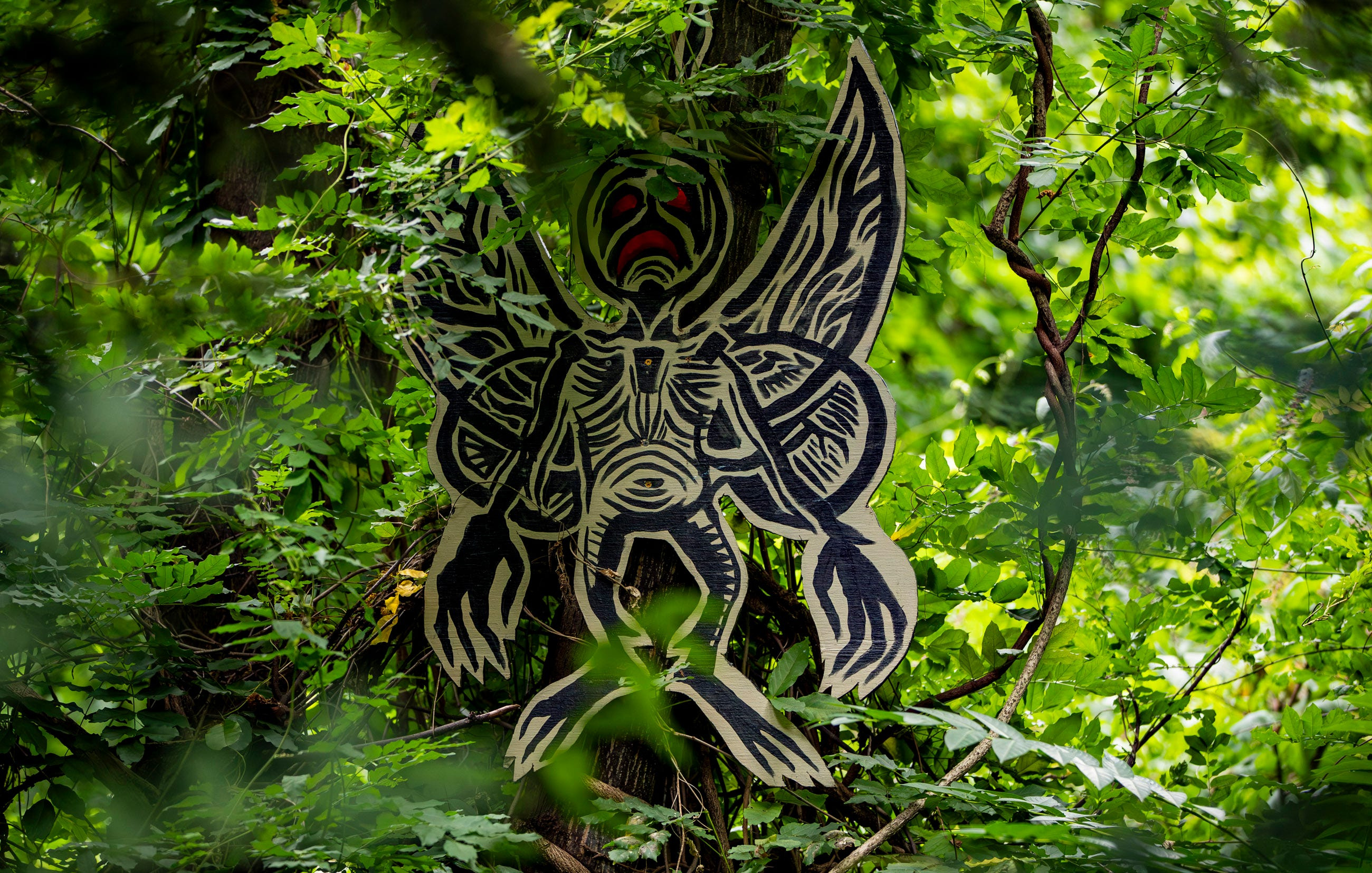 Asheville artist hides painting of viral Jimothy the raccoon in NC woods