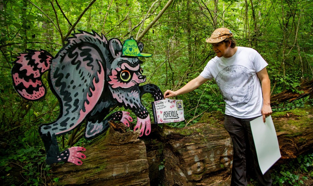 Asheville artist hides painting of viral Jimothy the raccoon in NC woods