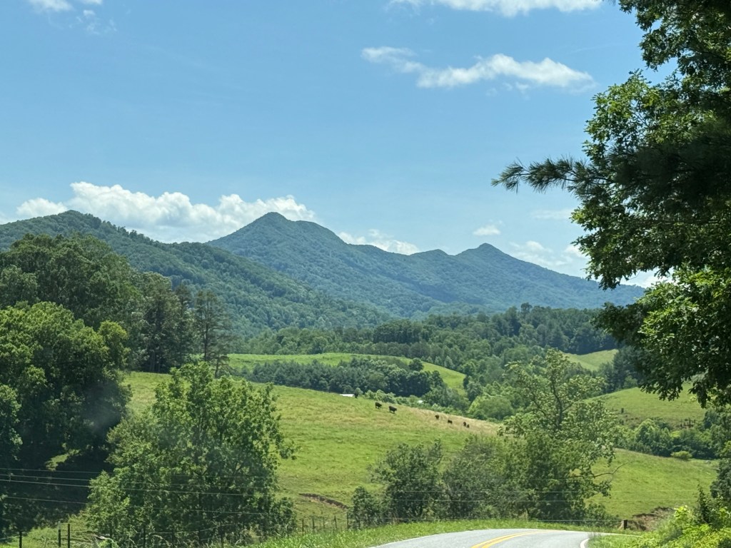 🦇 Batman patrols this NC small town