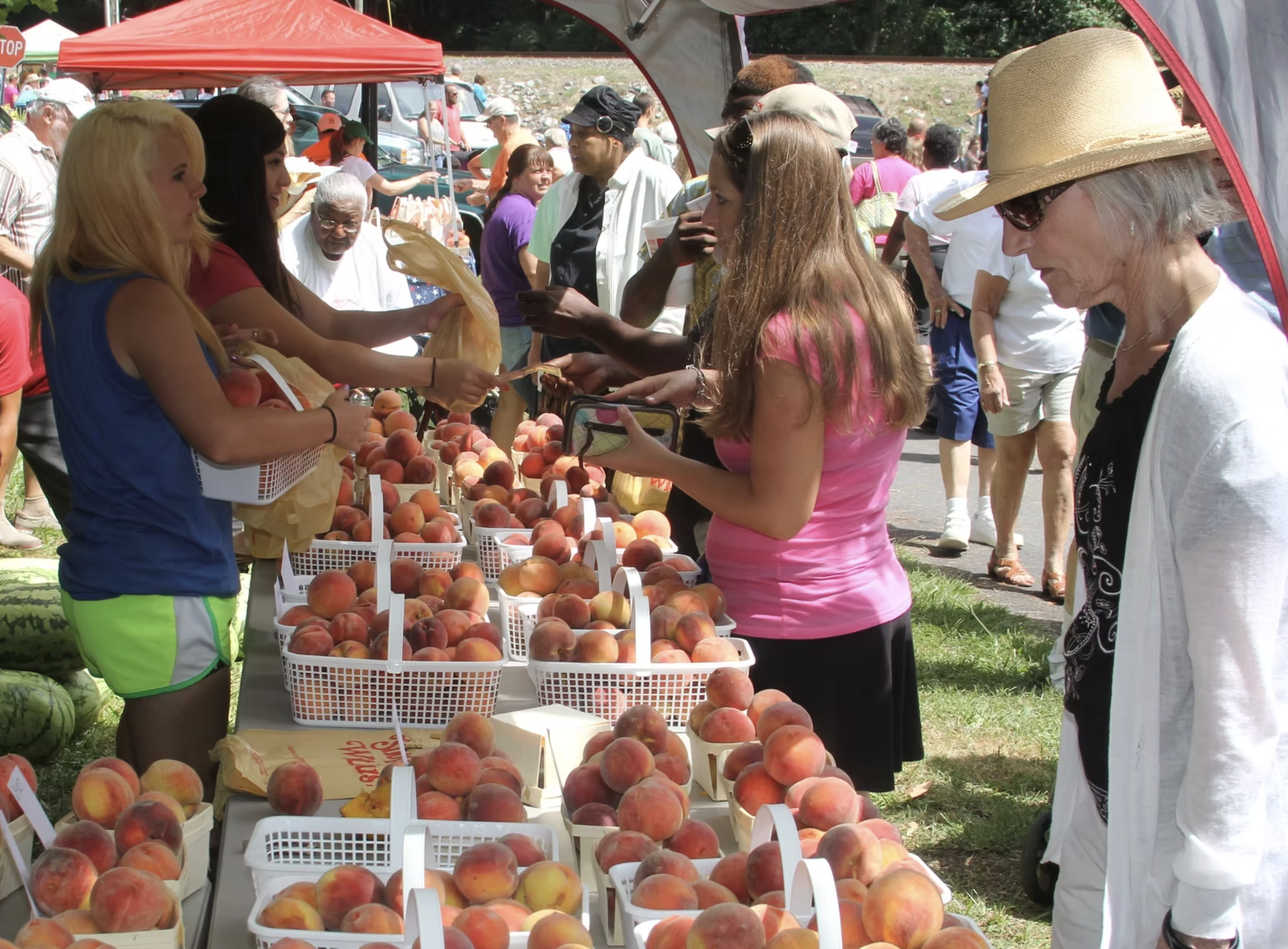 NC Peach Festival in Candor