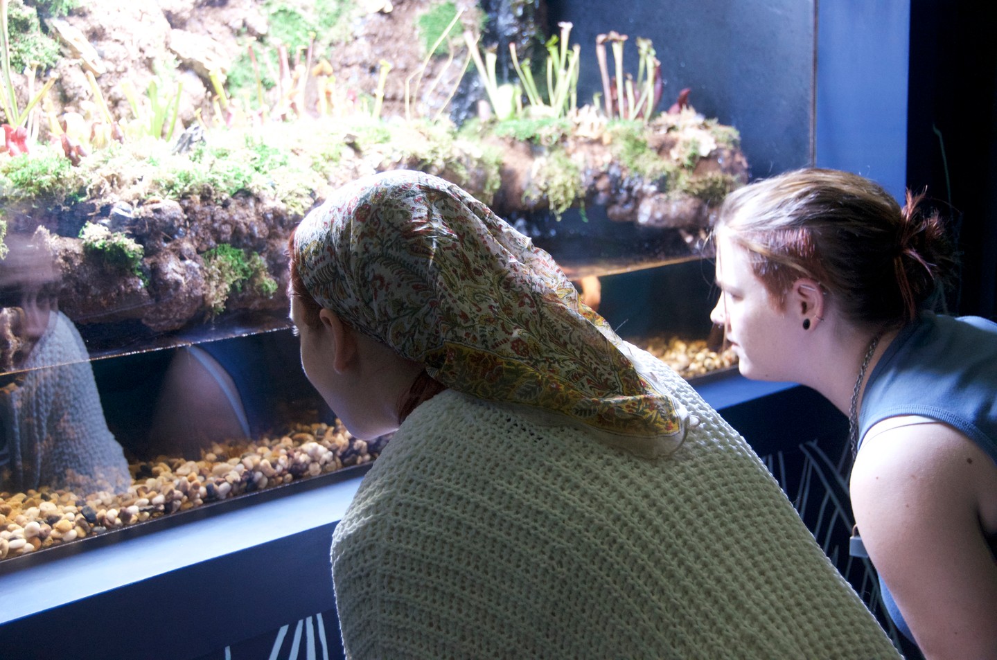 NC Aquarium opens in Wilmington mall