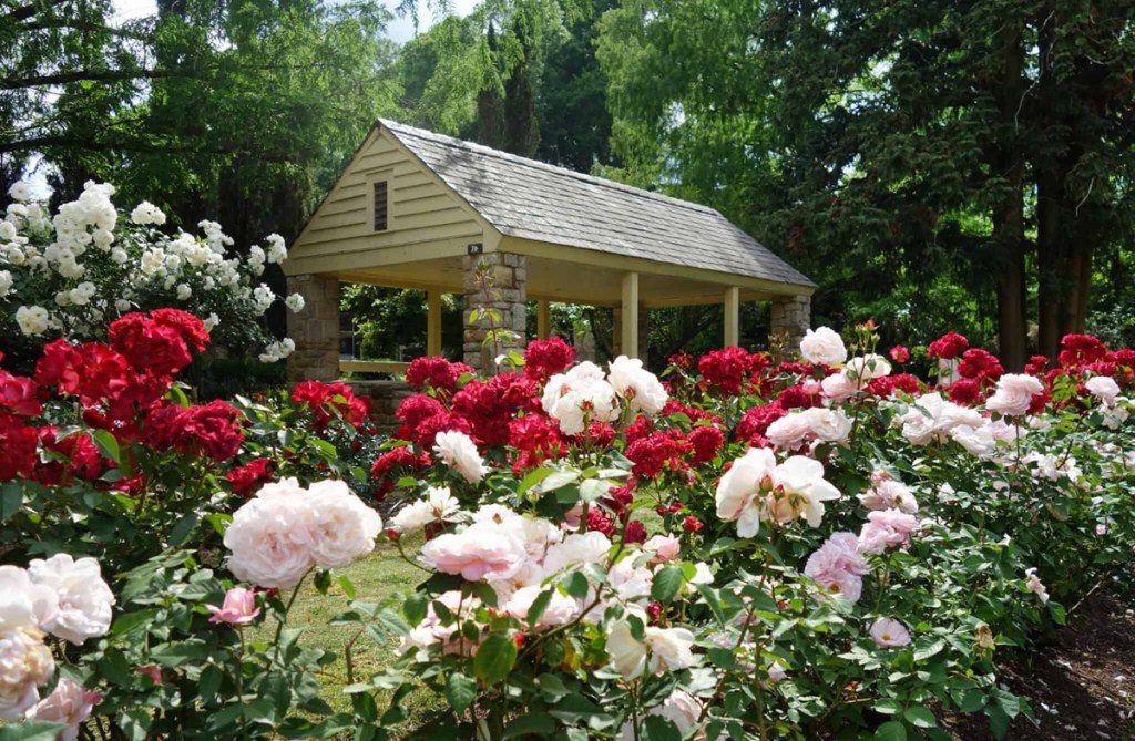 9 best picnic spots in Raleigh