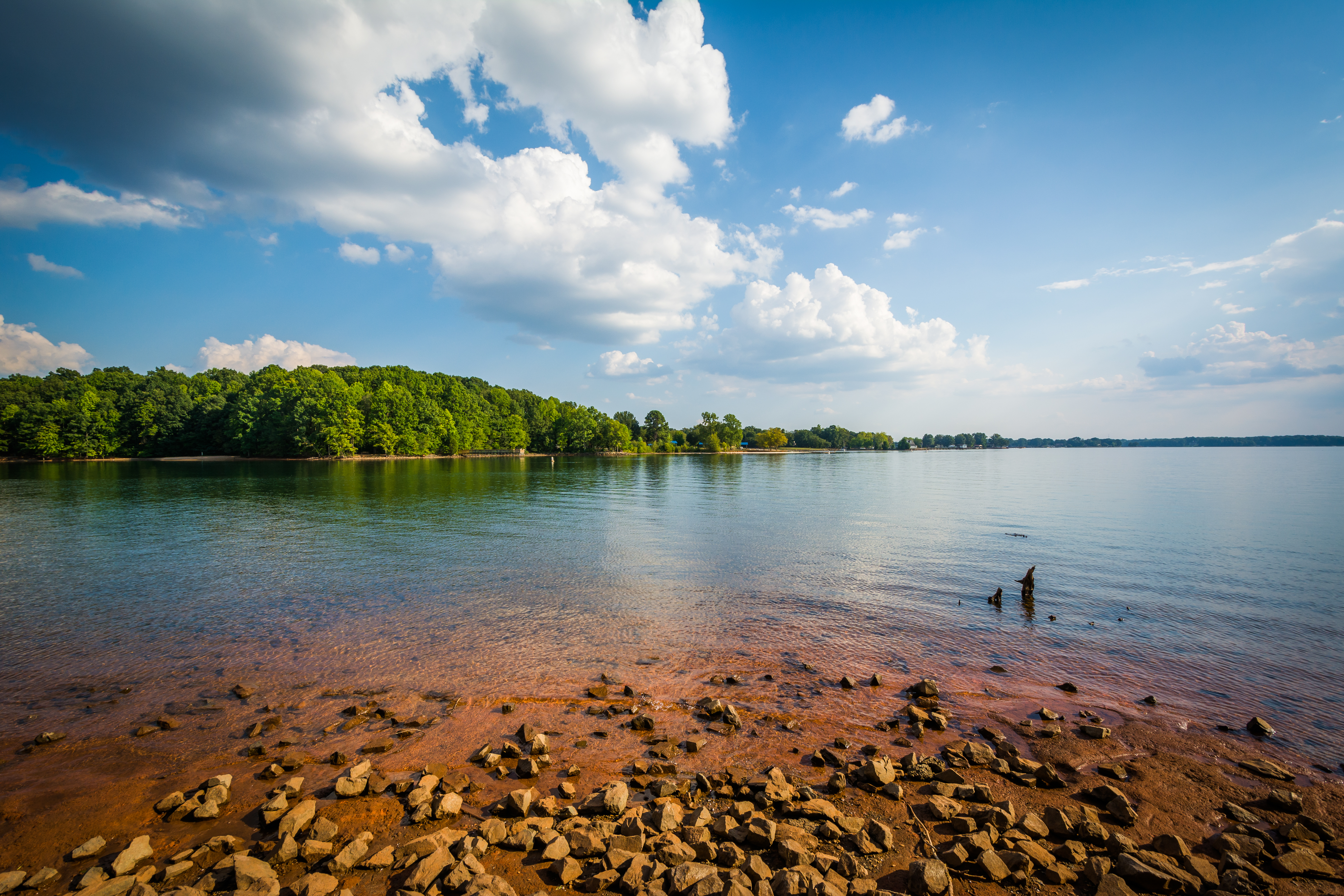 New habitat protects fish in NC's largest lake, Lake Norman
