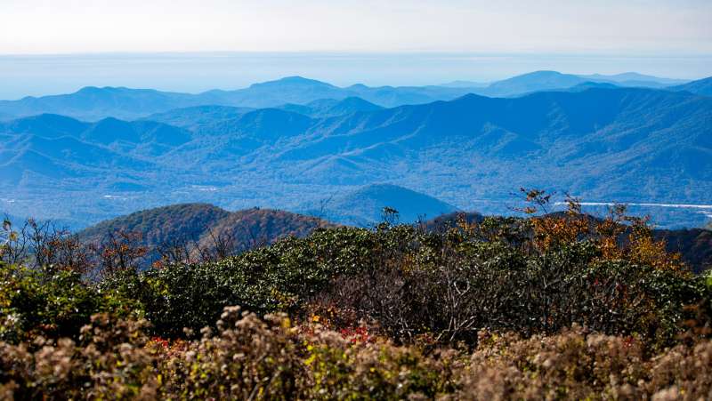 Trump wants to open 'pristine' national forests for logging, including in NC
