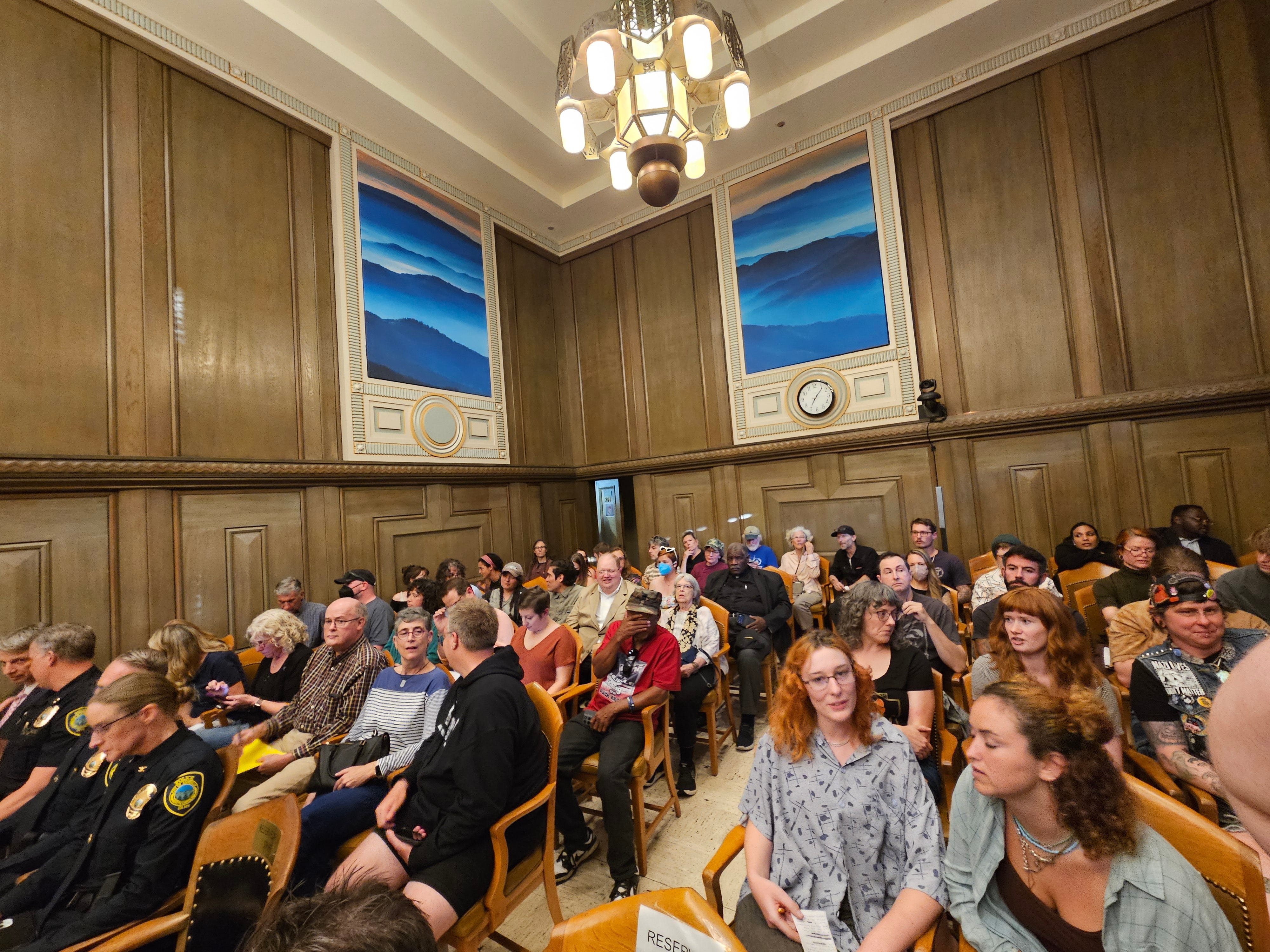 Asheville City Council votes to end Flock camera contract 'immediately'