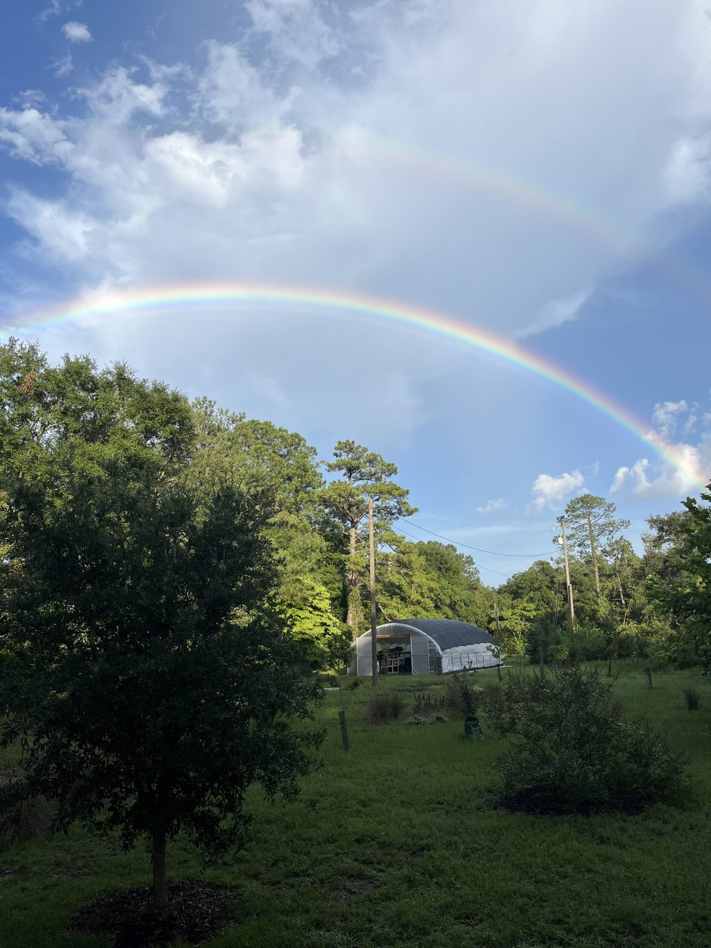 Why Dolly Parton matters in NC too