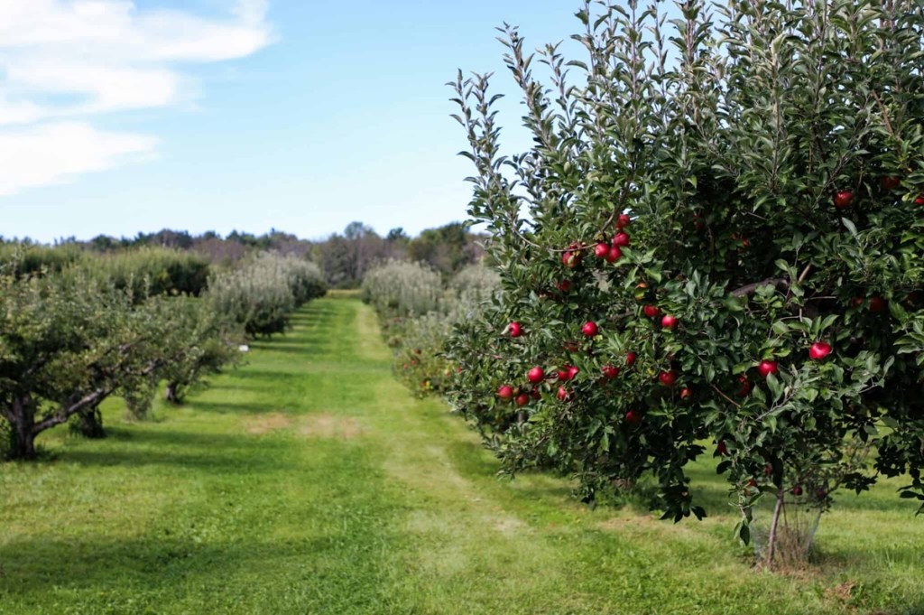 5 North Carolina activities perfect for early fall (before peak season crowds) 