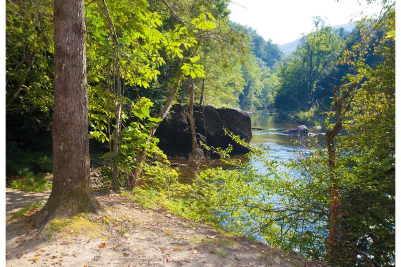 How a family swimming spot at a national forest in NC became ‘a trap’ for an ICE raid