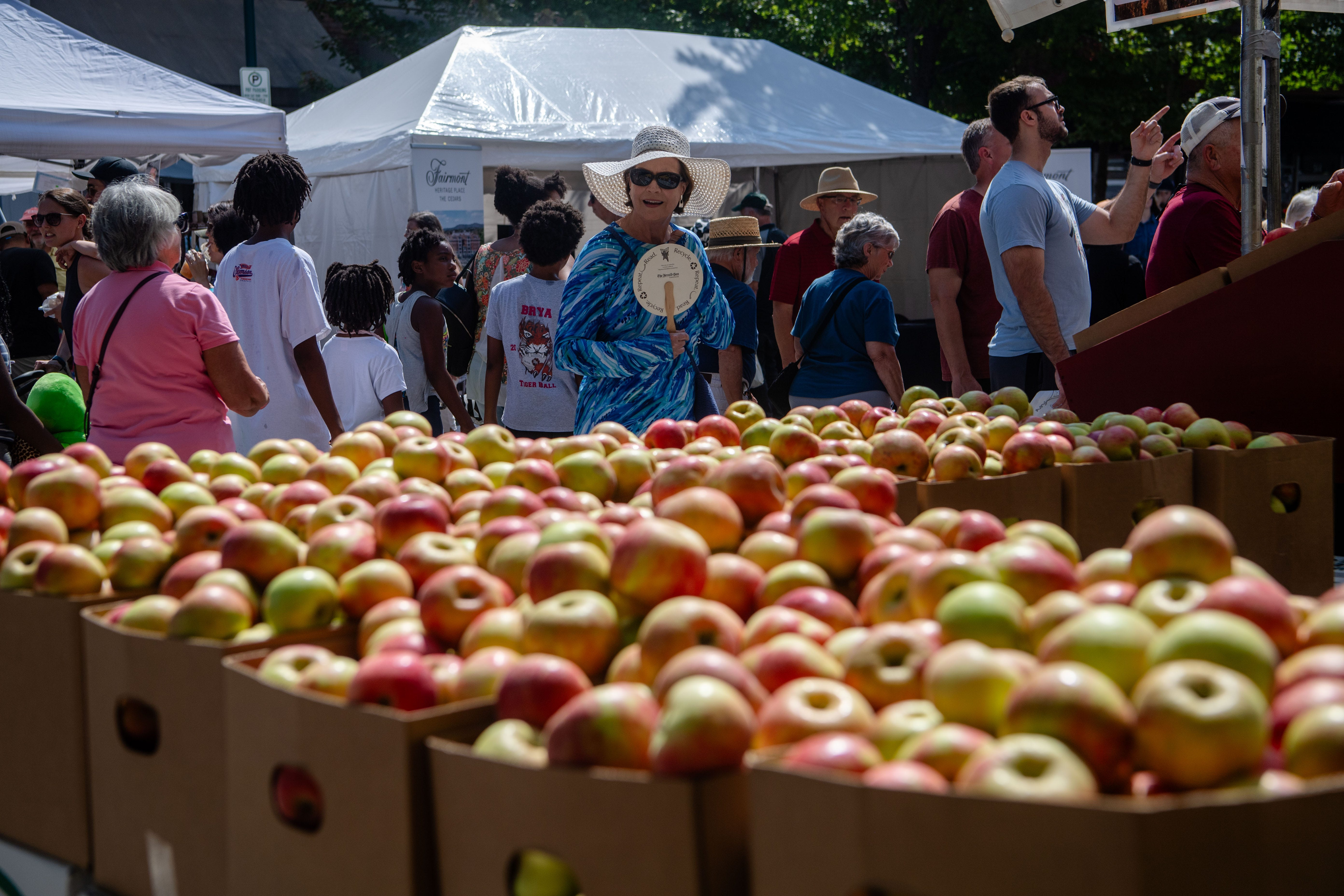What to know about the 80th North Carolina Apple Festival