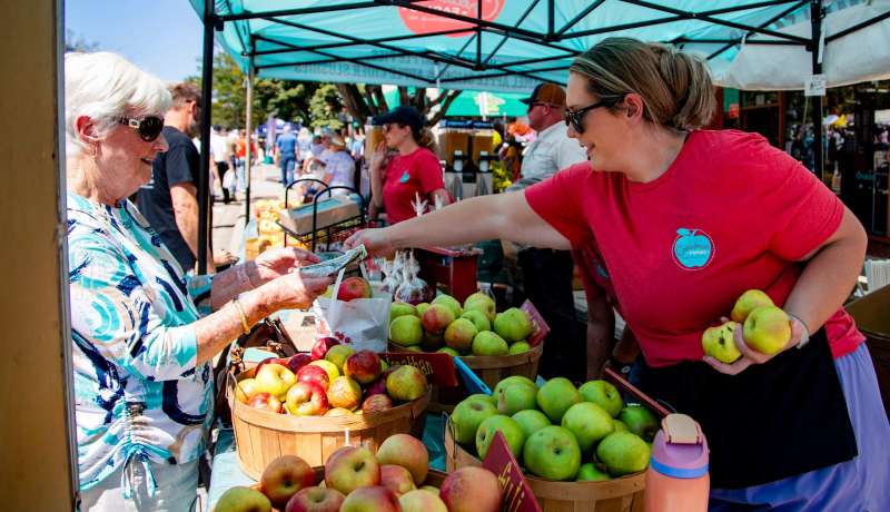 What to know about the 80th North Carolina Apple Festival