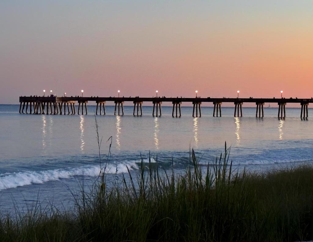🌊 Real signs of a ‘blue wave’ in NC