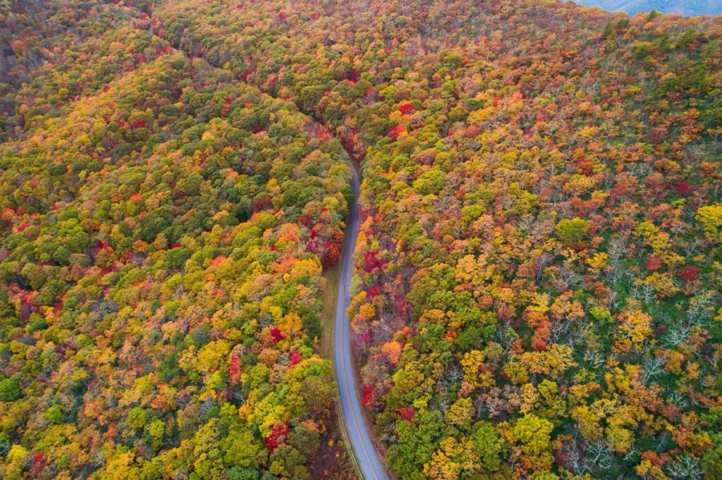 The 2026 guide to fall foliage in North Carolina