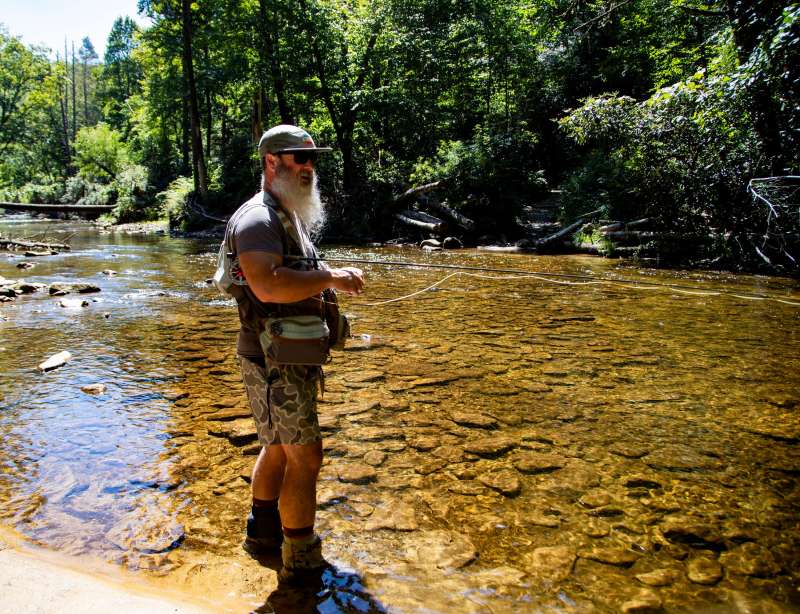 99% oppose Trump plan to log national forests. Here's why it may happen anyway