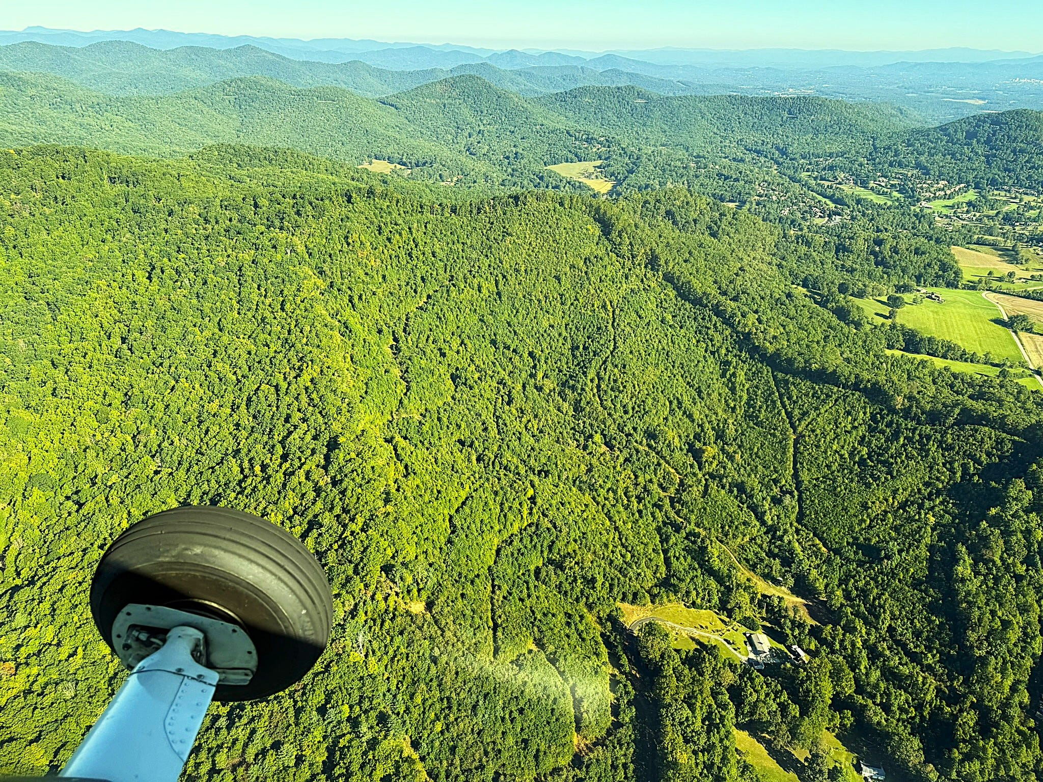 99% oppose Trump plan to log national forests. Here's why it may happen anyway, including here in NC