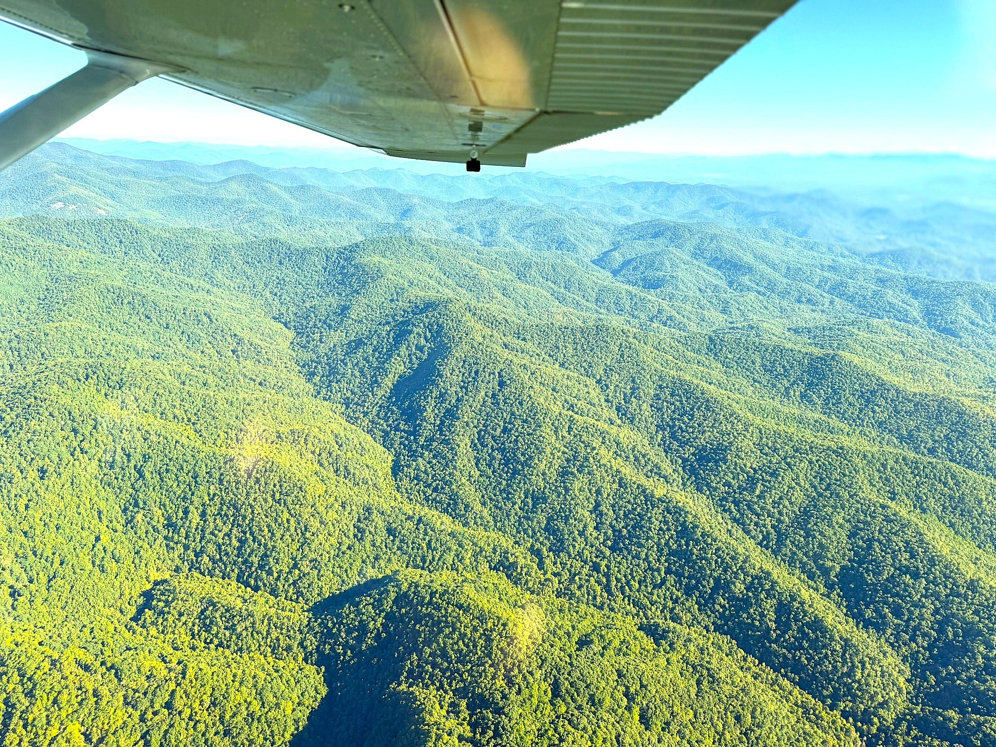 99% oppose Trump plan to log national forests. Here's why it may happen anyway, including here in NC