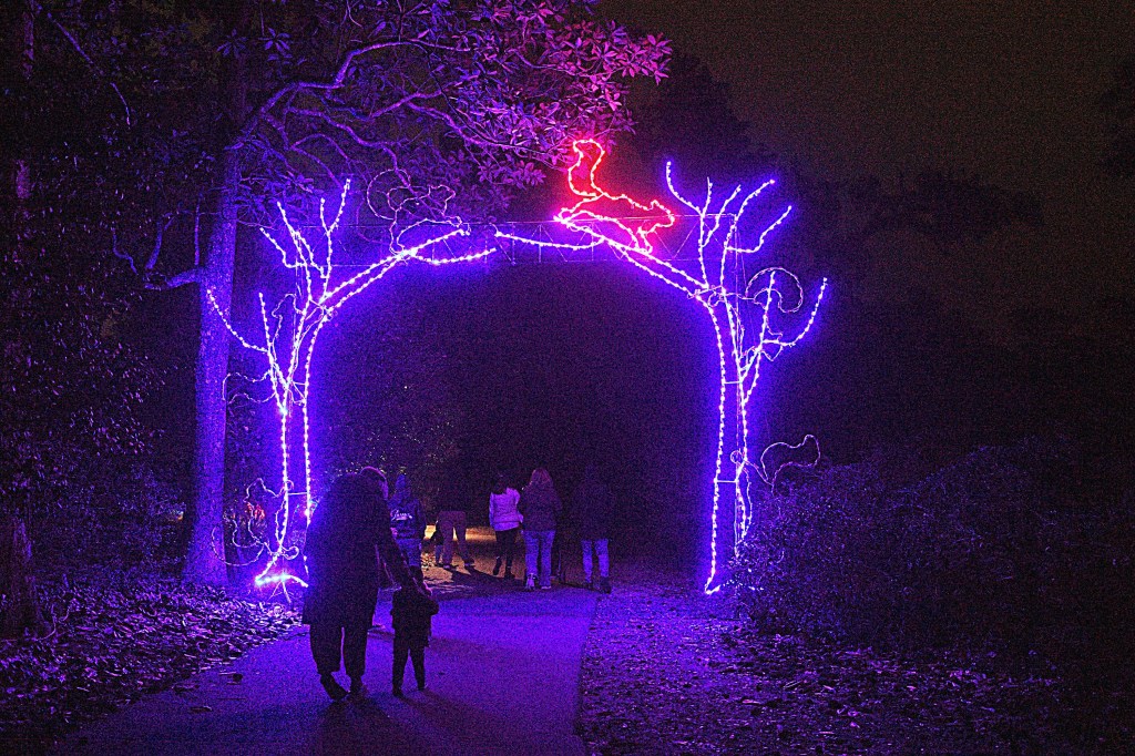 Wilmington’s Enchanted Airlie usually sells out. Here’s how to get tickets