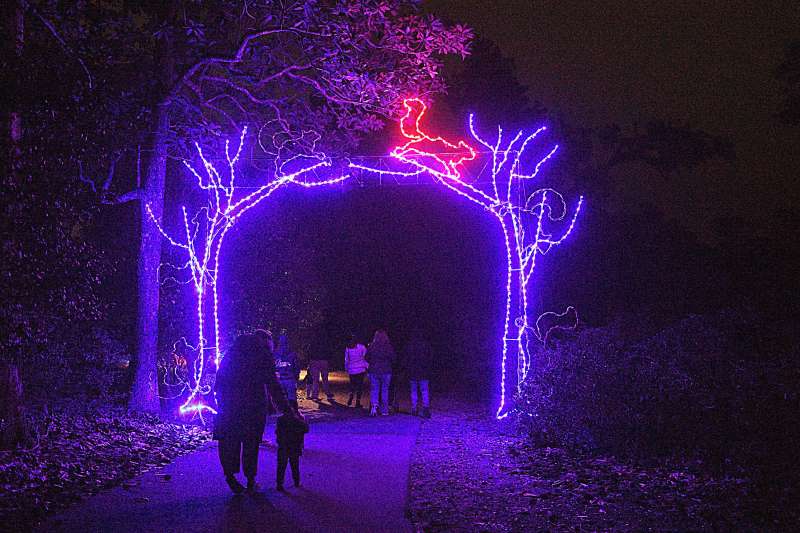 Wilmington's Enchanted Airlie usually sells out. Here's how to get tickets