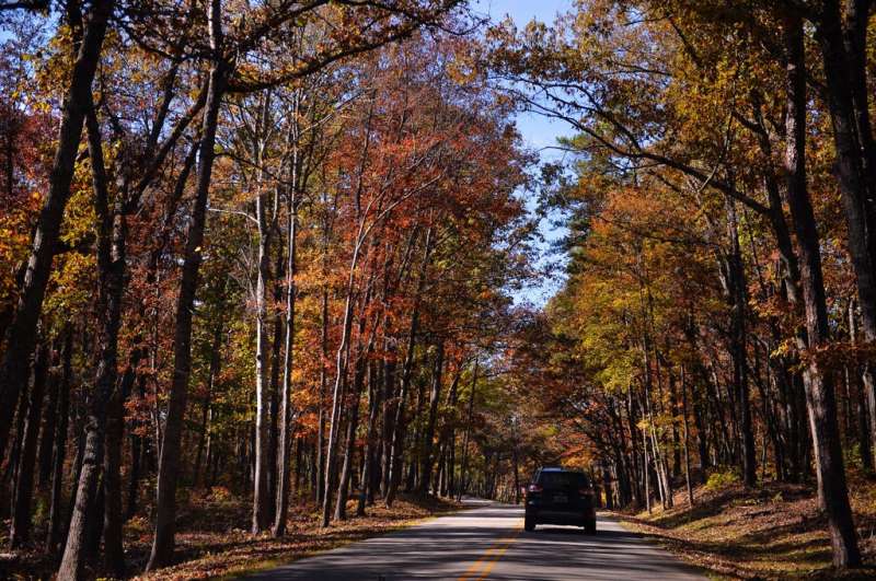 8 trails near Shelby to explore during North Carolina's fall