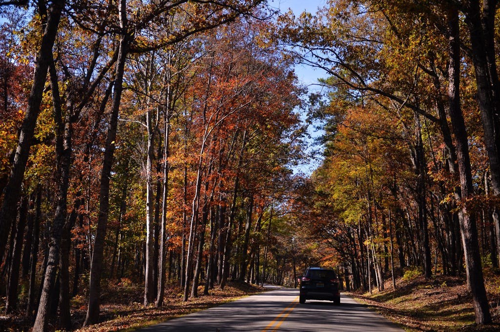 8 trails near Shelby to explore during North Carolina’s fall