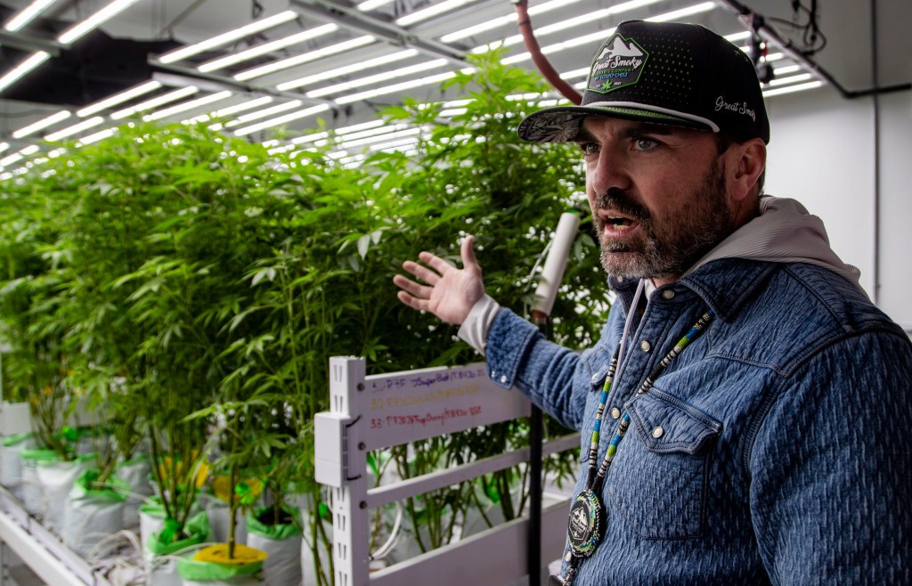 Great Smoky Cannabis Company offers blueprint for NC legalization
