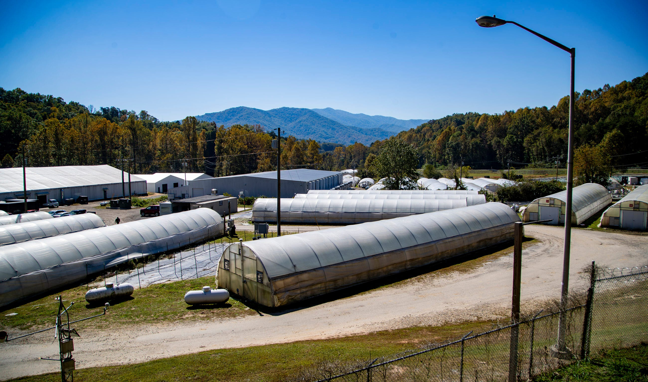 Great Smoky Cannabis Company offers blueprint for NC legalization